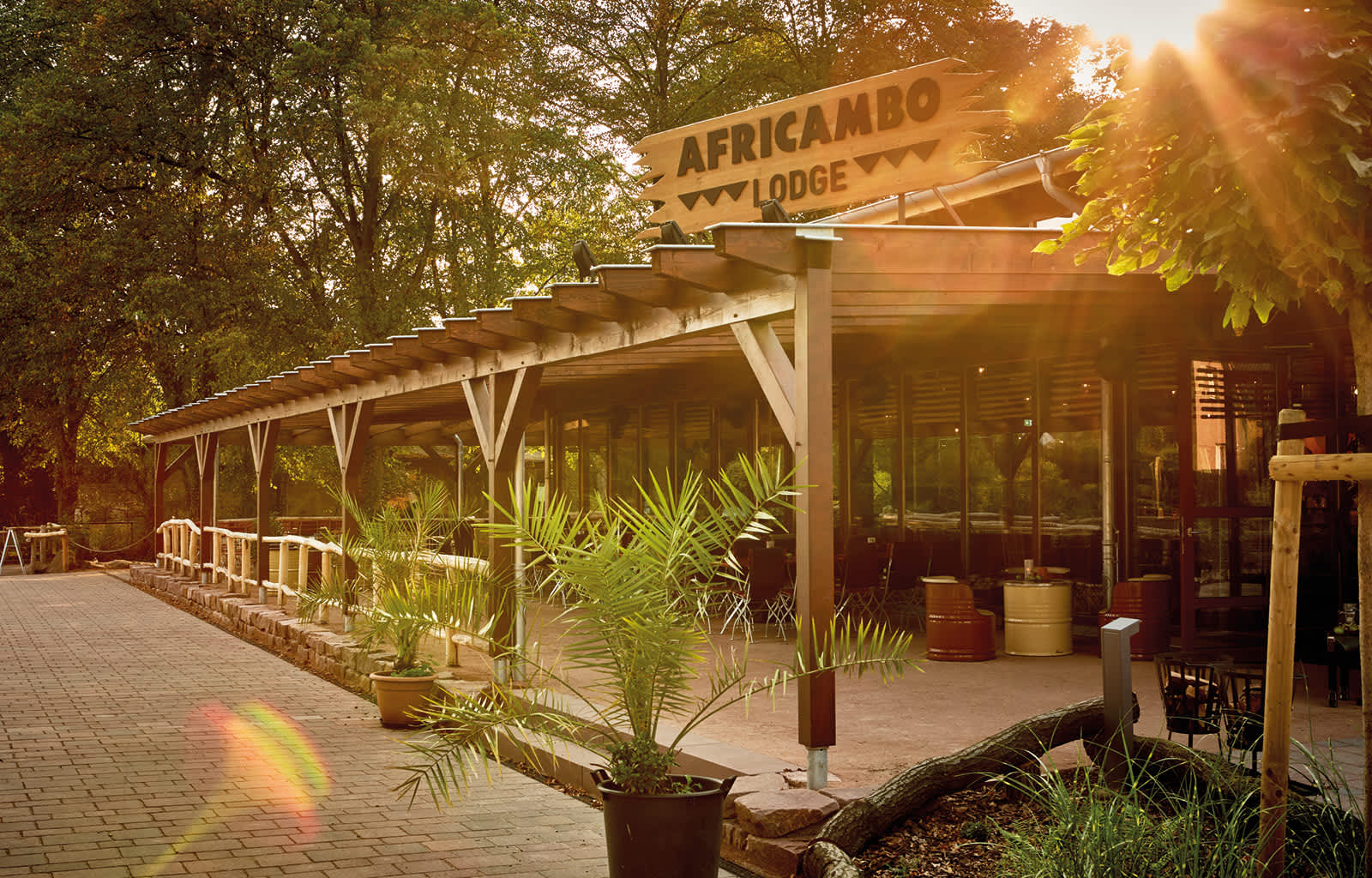 Africambo Lodge in der Abendsonne